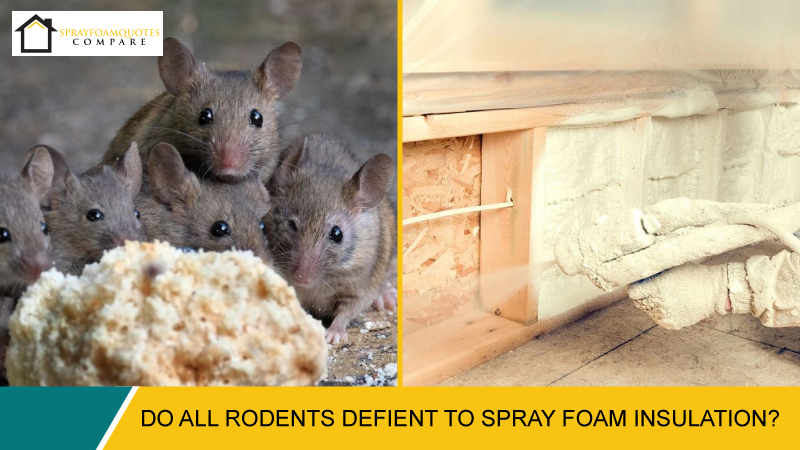 Do all rodents defiant to Spray Foam Insulation