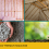Importance of Eco-Friendly Insulation in UK Houses